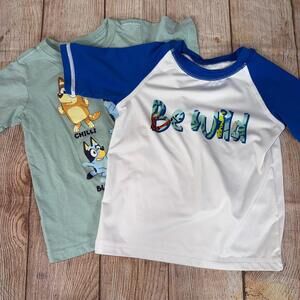 3T Boys Top Bundle